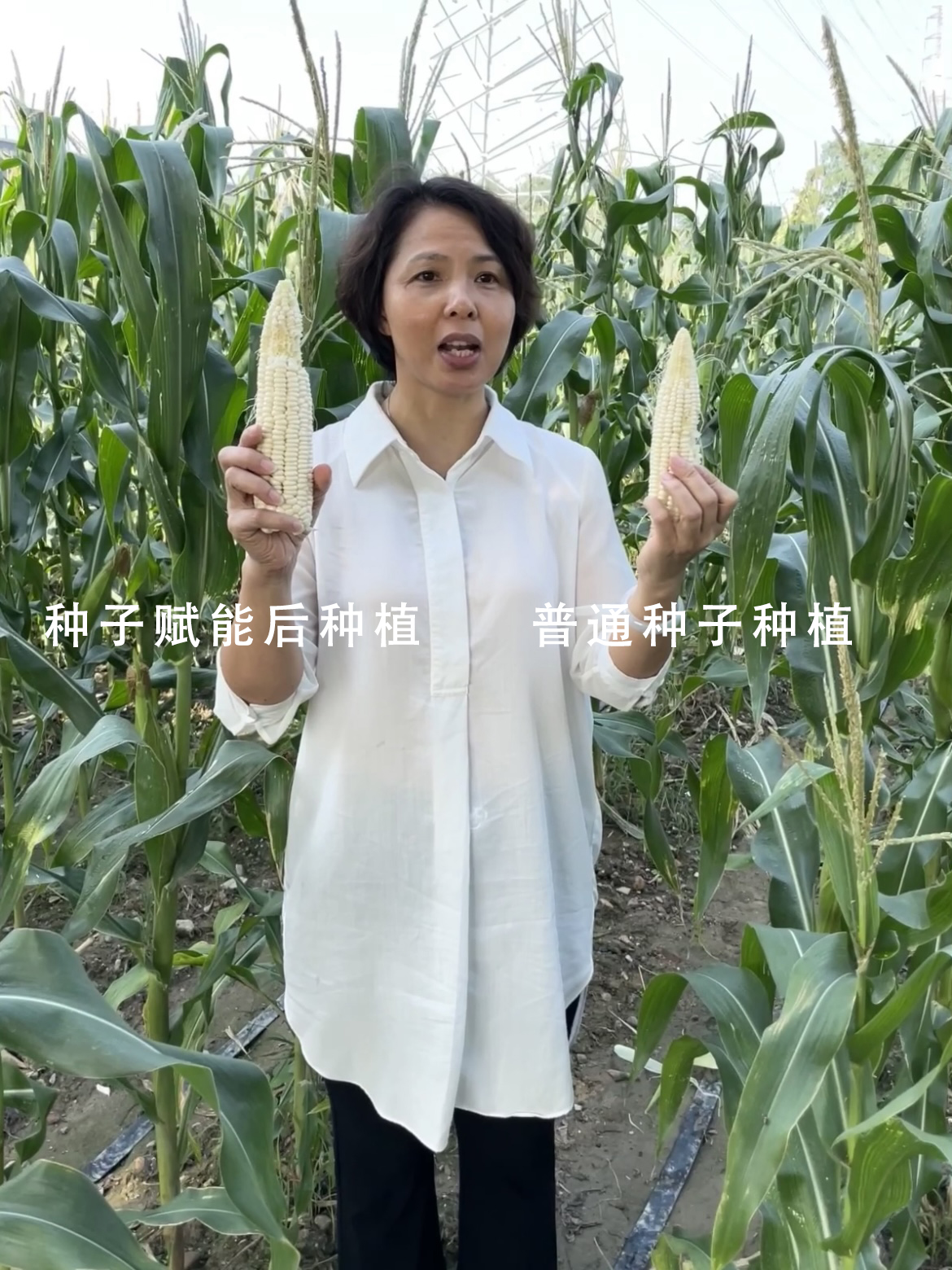 1704296519904424.jpg 2023_11_01_17_17_IMG_8379.jpg